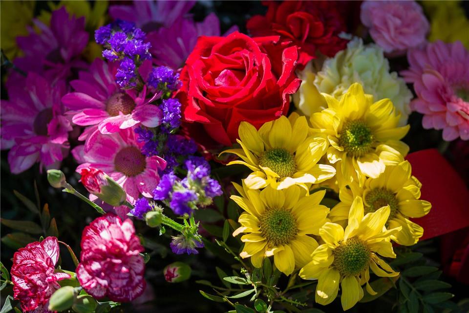 Blumen und Sträuße stehen in einem Blumengeschäft zum Verkauf. (Symbolbild)Fernando Gutierrez-Juarez/dpa
