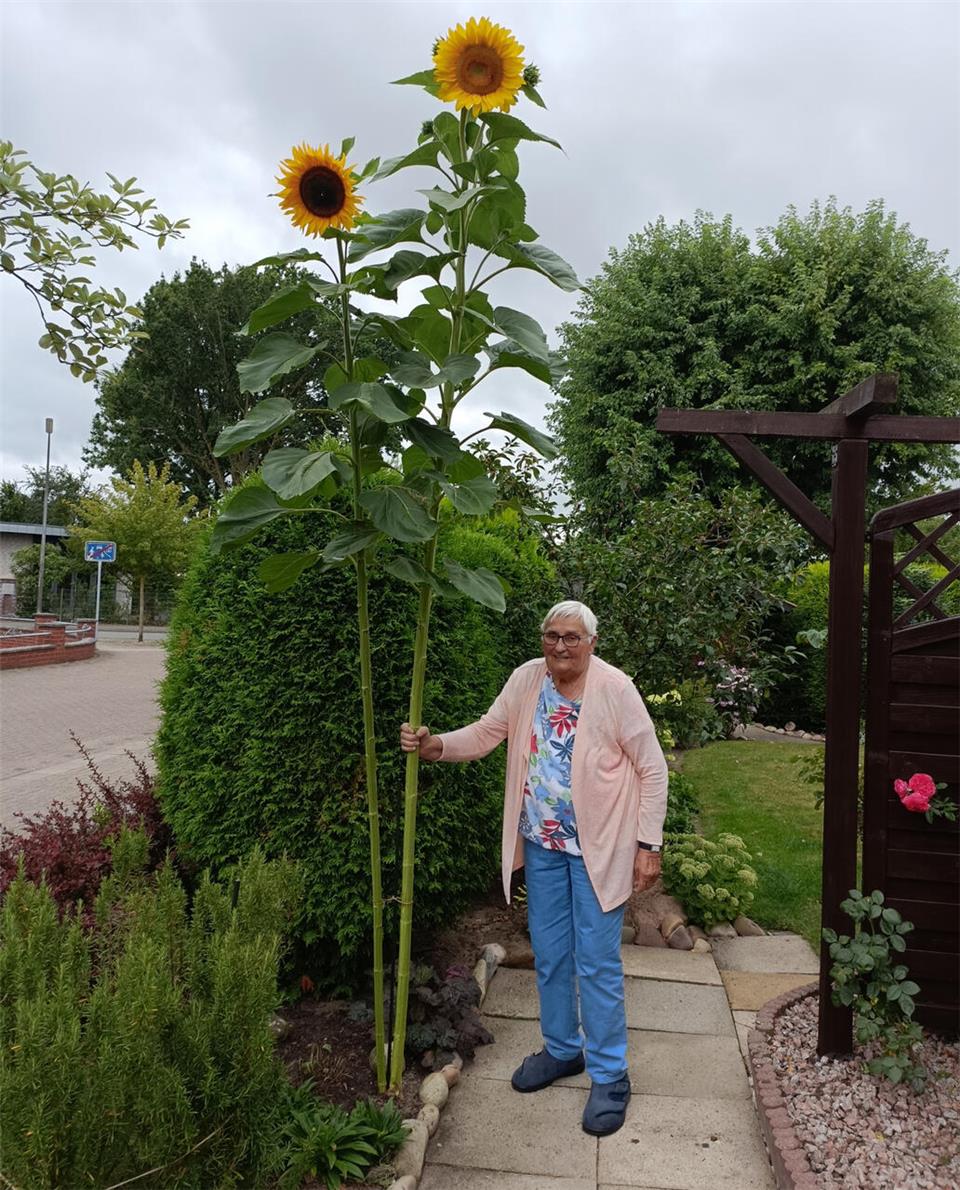 „Blumenfee“ Felicitas Heidermann hat im wahrsten Sinne des Wortes etwas „Großes“ erschaffen.