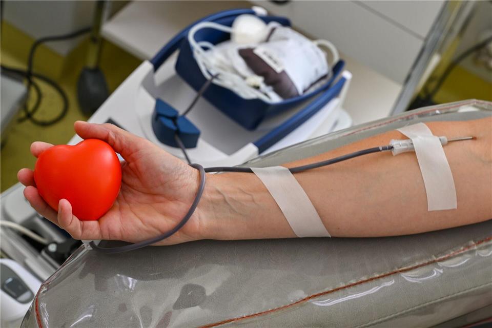 Blutspenden in der Erkältungszeit: So viele Tage sollten Sie nach Infekt, Impfung oder Antibiotika-Einnnahme warten.picture alliance/dpa