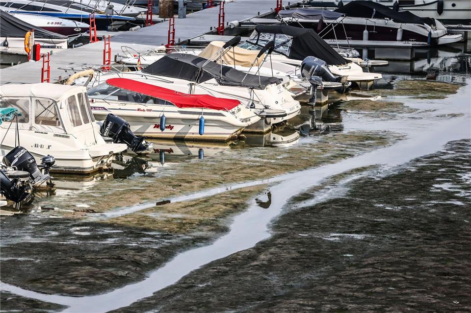 Boote liegen in Köln im Rheinauhafen auf Grund. (Archivbild)Oliver Berg/dpa