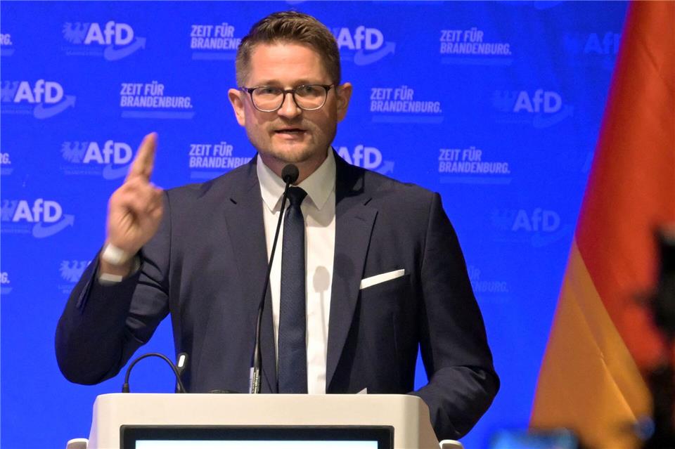 Brandenburgs AfD-Landesvorsitzender René Springer wurde als Landesvorsitzender wiedergewählt. (Archivbild)Michael Bahlo/dpa