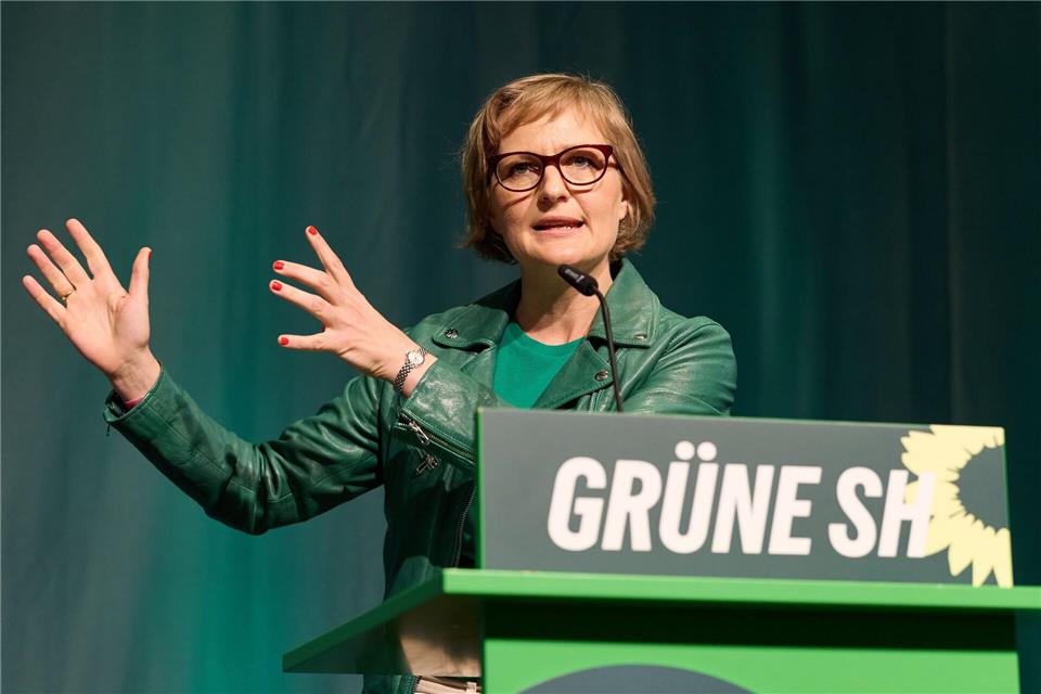Brantner griff die Bundesregierung an.Georg Wendt/dpa