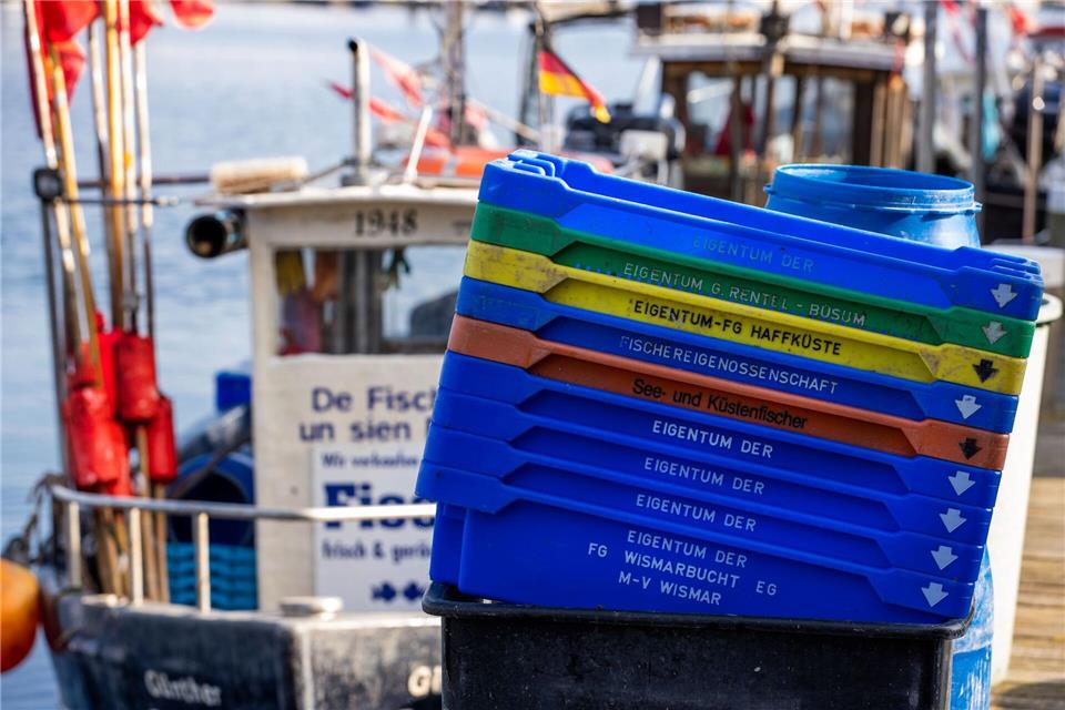 Brüssel will für den Hering keine Ausnahme mehr machen. Jens Büttner/dpa-Zentralbild/dpa