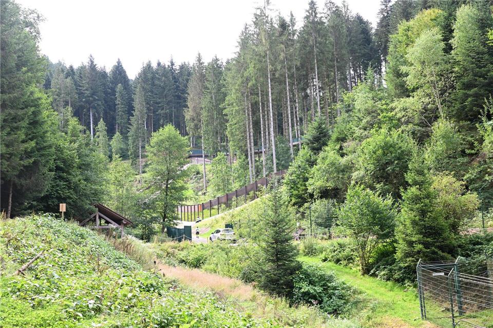 Brunos Schwester Gaia lebt nach ihrem tödlichen Angriff auf einen Jogger im Bärenpark Schwarzwald. (Archivbild)Bernd Weißbrod/dpa