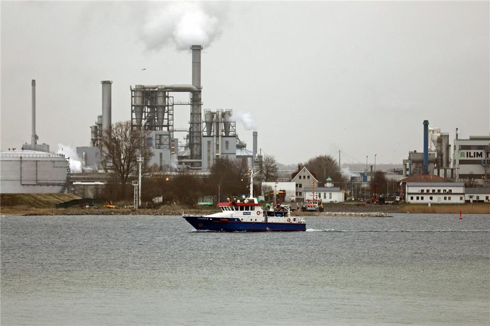 Buckelwal abgetaucht: In der Wismarer Bucht hält die Wasserschutzpolizei AusschauStefan Tretropp/dpa