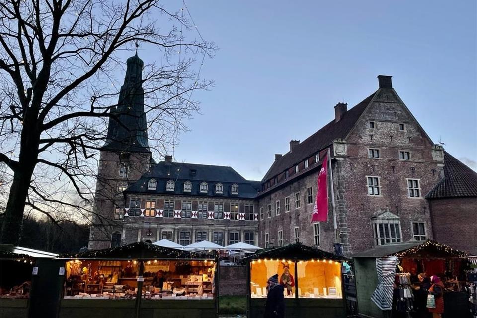 Bürgermeister Martin Tesing hat im Rat den Kaufpreis für das Schloss genannt.