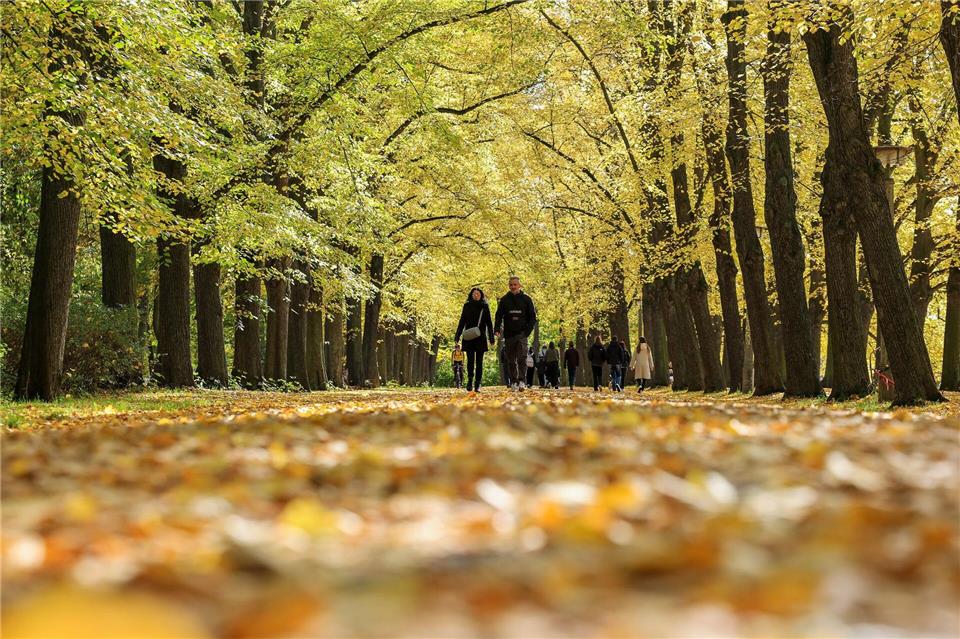 Warmer Oktober in Sachsen-Anhalt Bundesweit wurde ein zu warmer Oktober gemessen. (Archivbild)Jan Woitas/dpa