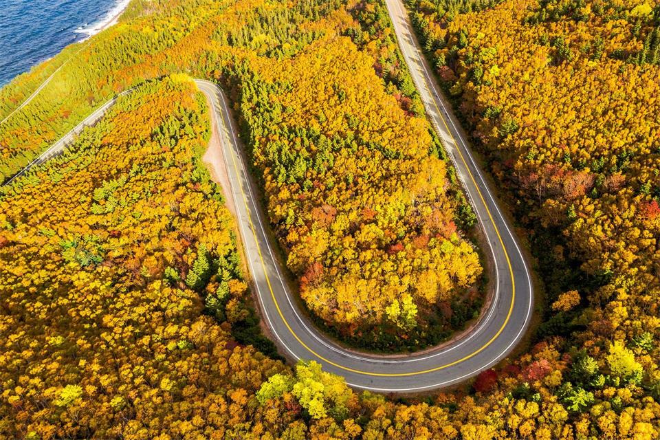 Bunte Blätter: Der Herbst gibt einem Roadtrip auf dem Cabot Trail ein besonderes Flair. Flitelab/Tourism Nova Scotia/dpa-tmn