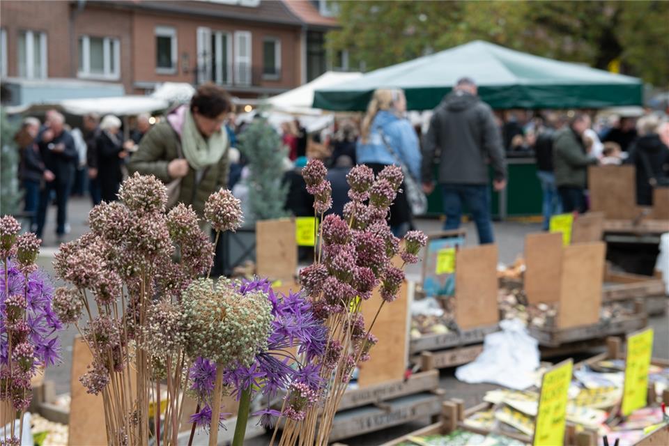 Buntes Treiben mit herbstlichem Flair gab es am Remigius-Sonntag in der Innenstadt und an der Otto-Hahn-Straße. Middeke