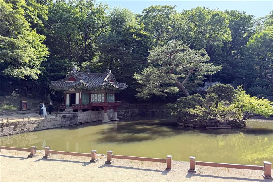 Buyeongjeong heißt der traditionelle koreanische Pavillon im Geheimen Garten der Palastanlage Changdeokgung.Annette Meinke-Carstanjen/dpa-tmn