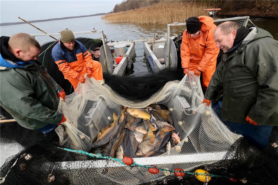 CCBernd Wüstneck/dpa