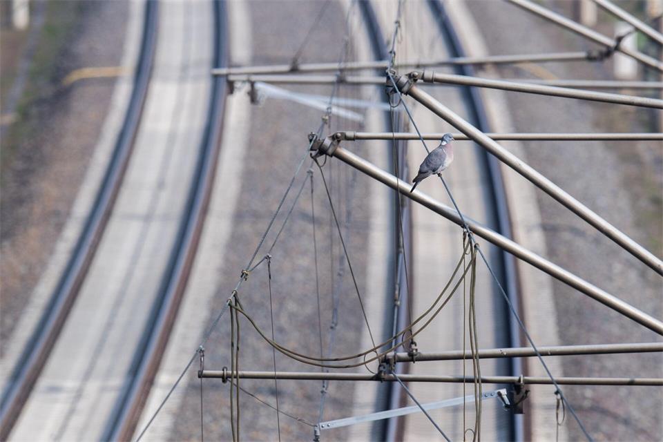 CDU-Politiker Marko Schiemann mahnt eine Elektrifizierung der Bahnstrecke von Dresden nach Görlitz an. (Symbolbild) Julian Stratenschulte/dpa