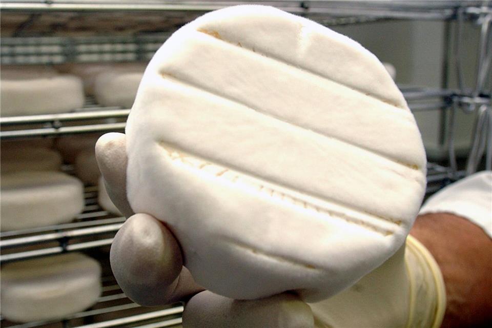Camembert wird von Penicillium umhüllt. (Illustration)Jochen Eckel/Zentralbild/dpa
