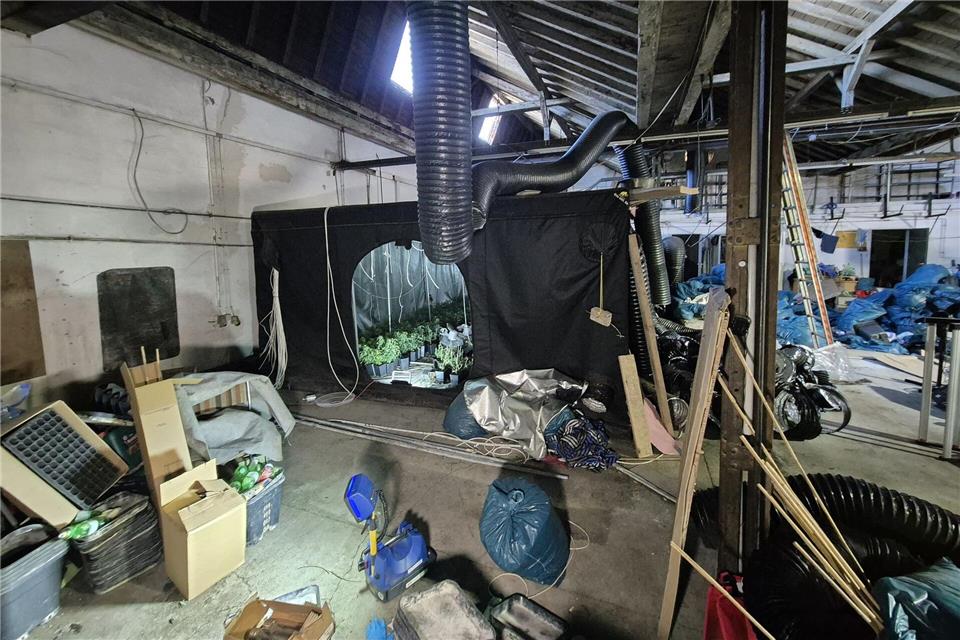 Cannabisplantage in Remscheid entdeckt. -/dpa