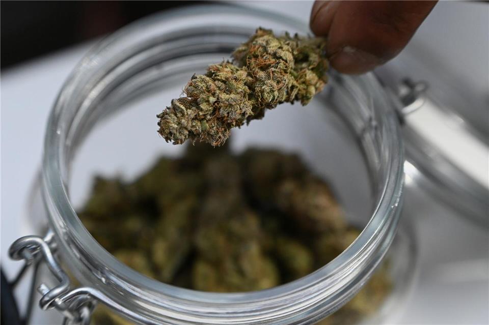 Cannabisvereinigungen müssen viele Regeln einhalten für Anbau. (Symbolfoto)Michael Brandt/dpa