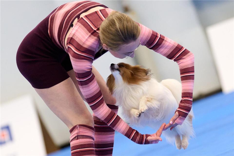 Choreografie auf Pfoten: Dog-Dancing-Stars begeistern mit Showeinlagen in DortmundBernd Thissen/dpa