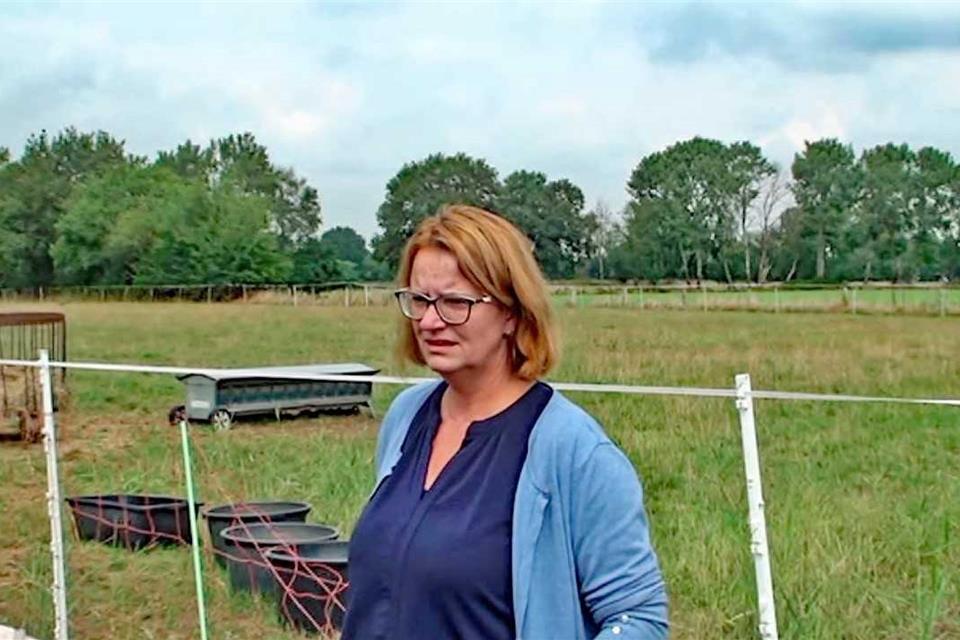 Christiane Rittmann hat bisher zwölf Schafe verloren, zehn nachweislich durch den Wolf.