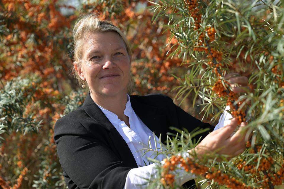 Christine Berger, Inhaberin vom Sanddorn-Garten Petzow, glaubt an die Zukunft vom Sanddorn.Michael Bahlo/dpa
