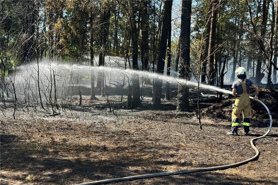 Circa 6000 Quadratmeter Wald sind am Donnerstag in Hoxfeld verbrannt.