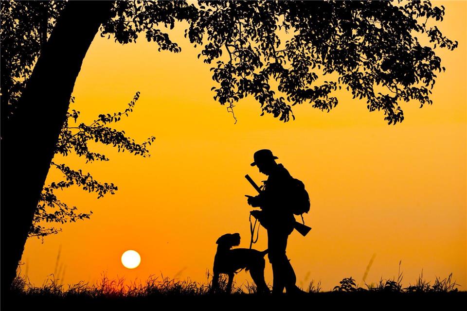 DIe Zahlen der Jagdsaison unterscheiden sich kaum zu der vorherigen. (Symbolbild)Patrick Pleul/dpa