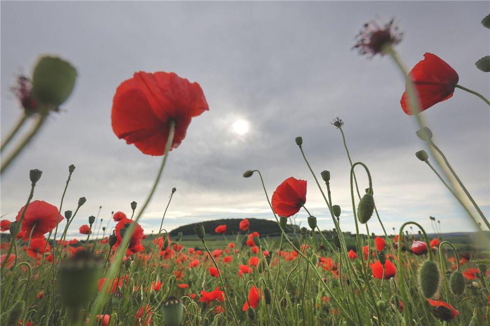 DWD: Wetter in Baden-Württemberg etwas freundlicher. (Archivbild)Thomas Warnack/dpa