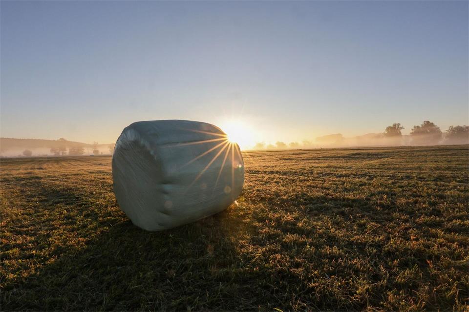 DWD: Wetter weiter freundlich und heiter. (Archivbild)Thomas Warnack/dpa