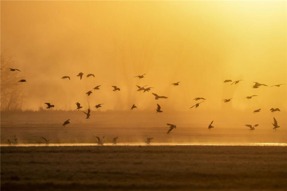 DWD: Wo am Sonntag die Sonne hervorkommen könnte. (Archivbild)Thomas Warnack/dpa