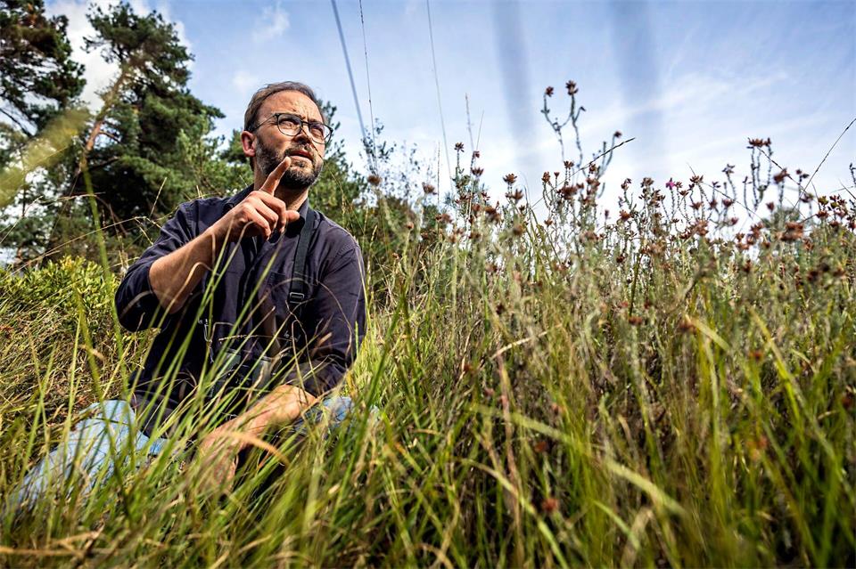 „Dädä? Dädä“, ahmt Kriegs den Ruf der Weidenmeise nach. Sie fühlt sich dank vieler morscher Totholzstämme wieder wohl im Lüntener Wald. Lars Berg/dpa