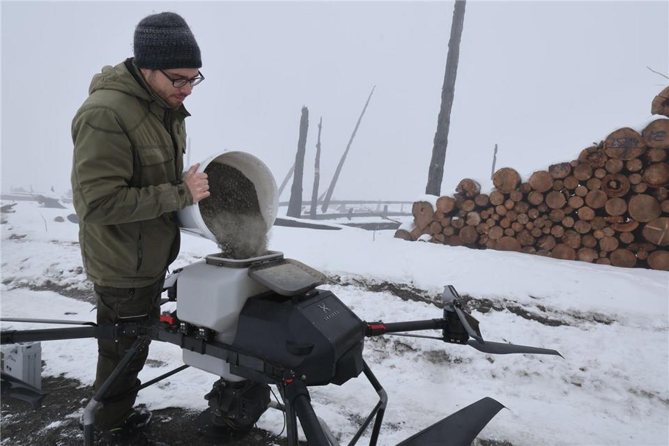 Damit auf der verbrannten Waldfläche der Saalfelder Höhe wieder Bäume wachsen, bringt eine Drohne Baumsaatgut aus.Bodo Schackow/dpa