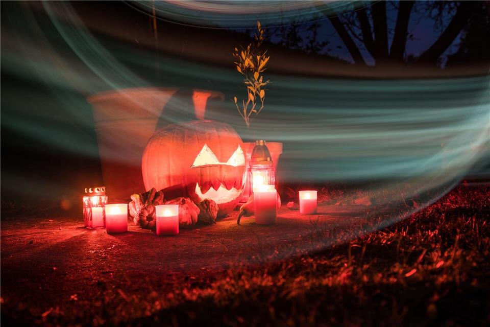 Schimmelgefahr: So hält geschnitzte Kürbis-Fratze länger Damit der Kürbis auch noch an Halloween schaurig schön aussieht, gibt es beim Aushöhlen und Schnitzen einiges zu beachten.picture alliance / dpa-tmn
