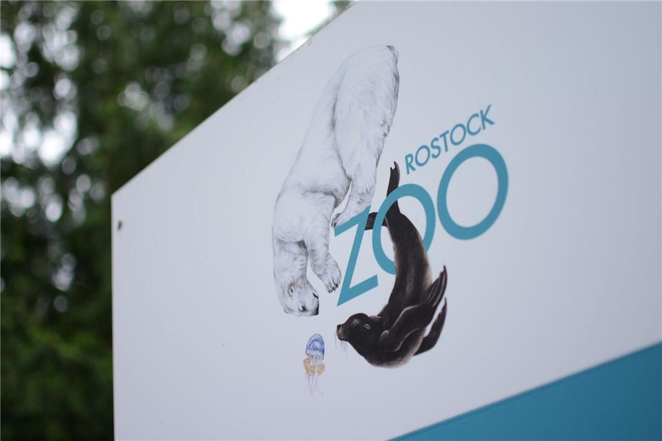 Damit niemandem was passiert, bleibt der Rostocker Zoo geschlossen. (Archivbild)Christopher Hirsch/dpa