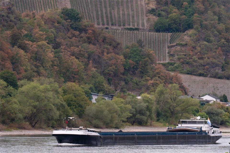 Dank Regens in Süddeutschland steigen die Rheinpegel wieder langsam, sind aber von Durchschnittswerten weit entfernt.Lea Winkler/dpa