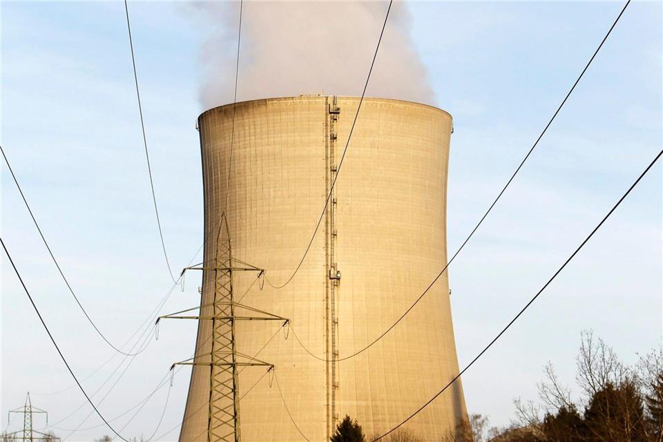 Das AKW liegt 20 Kilometer südlich der Grenze zu Deutschland. (Archivbild)picture alliance / dpa