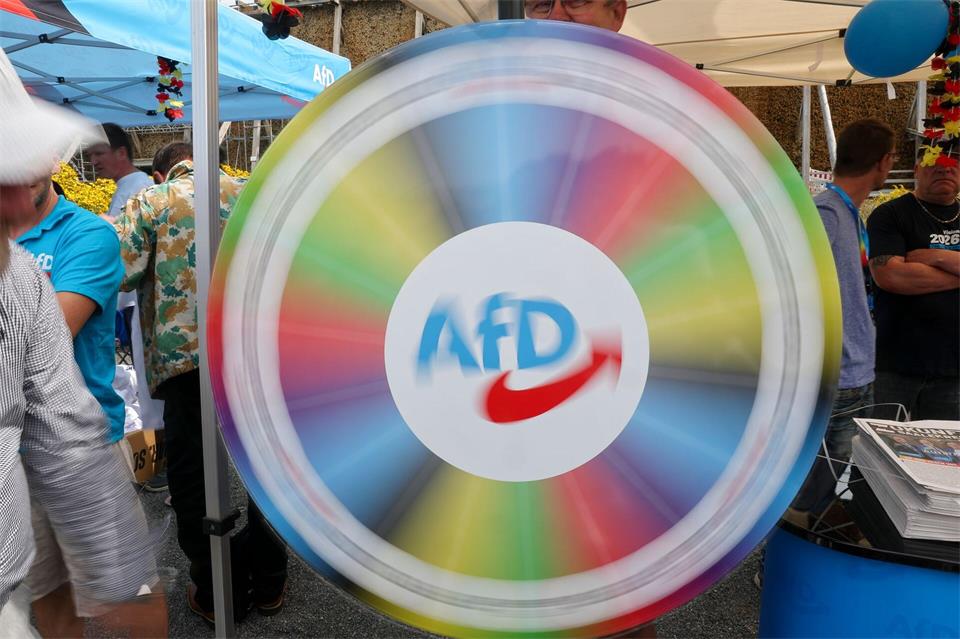 Das AfD-Wahlprogramm hat rund 260 Seiten, fast ein Fünftel dreht sich um Migrationspolitik. (Archivbild)Jan Woitas/dpa