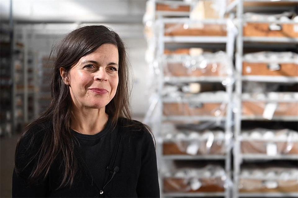 Das Aus in Kahla ist für die Leiterin der Dekoration Nicole Roth besonders emotional: Sie hat in dem Betrieb sogar ihre Ausbildung gemacht.Martin Schutt/dpa