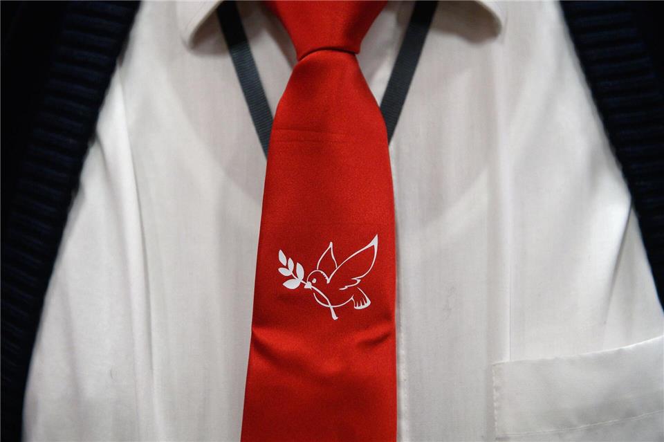 Das BSW hat weiter enthusiastische Fans. (Archivfoto)Klaus-Dietmar Gabbert/dpa