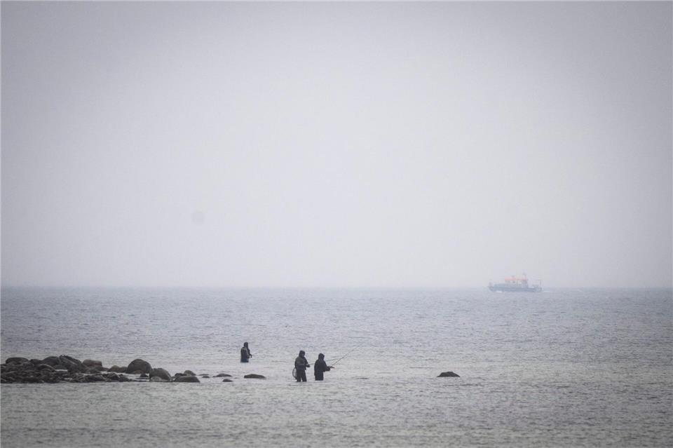Das Boot „Uecker“ von der Wasserschutzpolizei sucht den Wal an der Ostseeküste. Philip Dulian/dpa