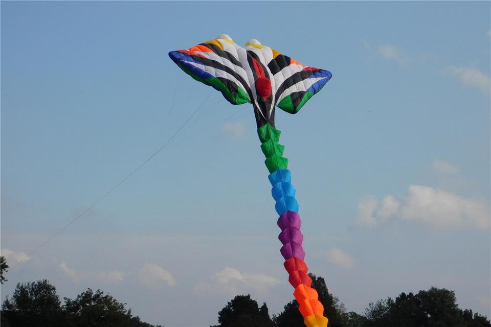 Das Drachenfest bot spannende Eindrücke am Himmel.