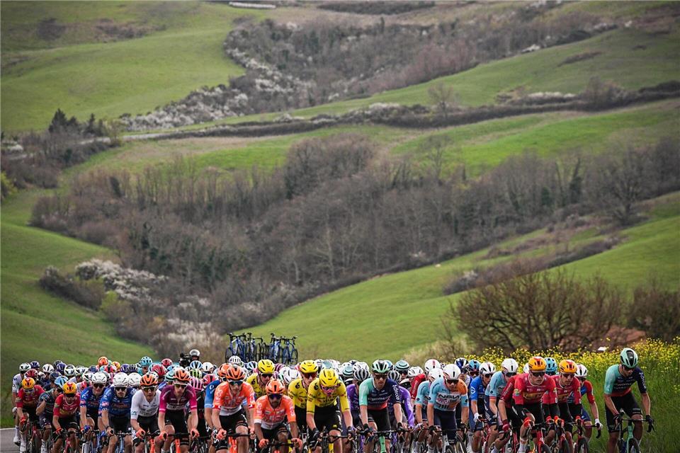 Das Feld der Fahrer fährt durch die toskanische Landschaft während der zweiten Etappe des Tirreno-Adriatico-Radrennens von Camaiore nach San Gimignano.Marco Alpozzi/LaPresse via AP/dpa