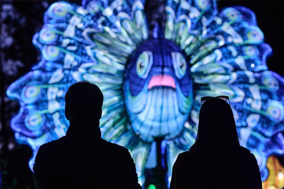 Das Festival „Wild Lights“ ist seit 9. Oktober im Zoo Schwerin zu sehen. (Archivbild)Jens Büttner/dpa
