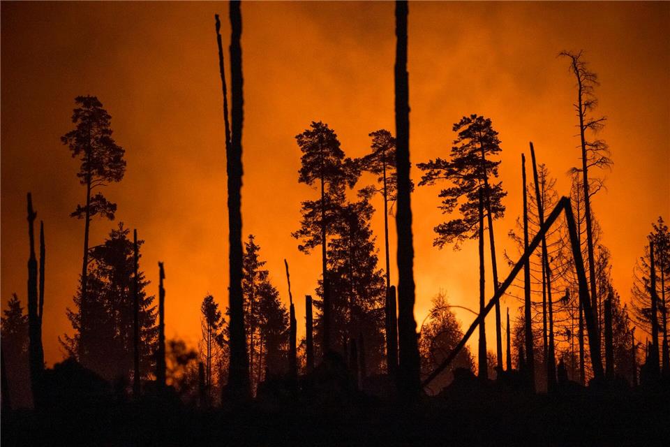 Das Feuer auf der Saalfelder Höhe bei Gösselsdorf, einem Ortsteil von Saalfeld, zerstörte mehr als 80 Hektar Wald. (Archivbild)Daniel Vogl/dpa