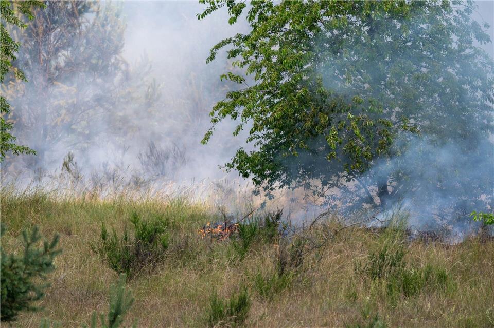 Das Feuer frisst sich durch das trockene Gras auf dem einstigen Truppenübungsplatz. (Bild vom 25. Juni)Stefan Sauer/dpa