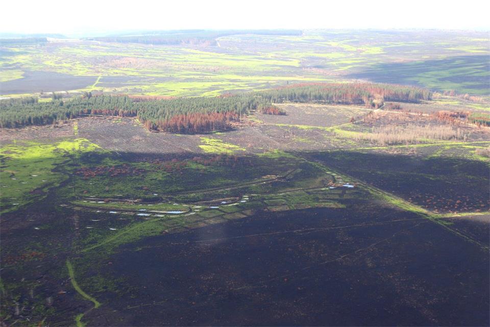 Das Feuer im Hohen Venn ist nach Angaben des Gouverneurs der Provinz Lüttich unter Kontrolle, aber noch nicht vollständig gelöscht.Sascha Thelen/dpa