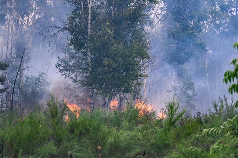 Das Feuer in der Gohrischheide (Kreis Meißen) hatte im vergangenen Jahr hunderte Einsatzkräfte in Atem gehalten. (Archivbild)Robert Michael/dpa