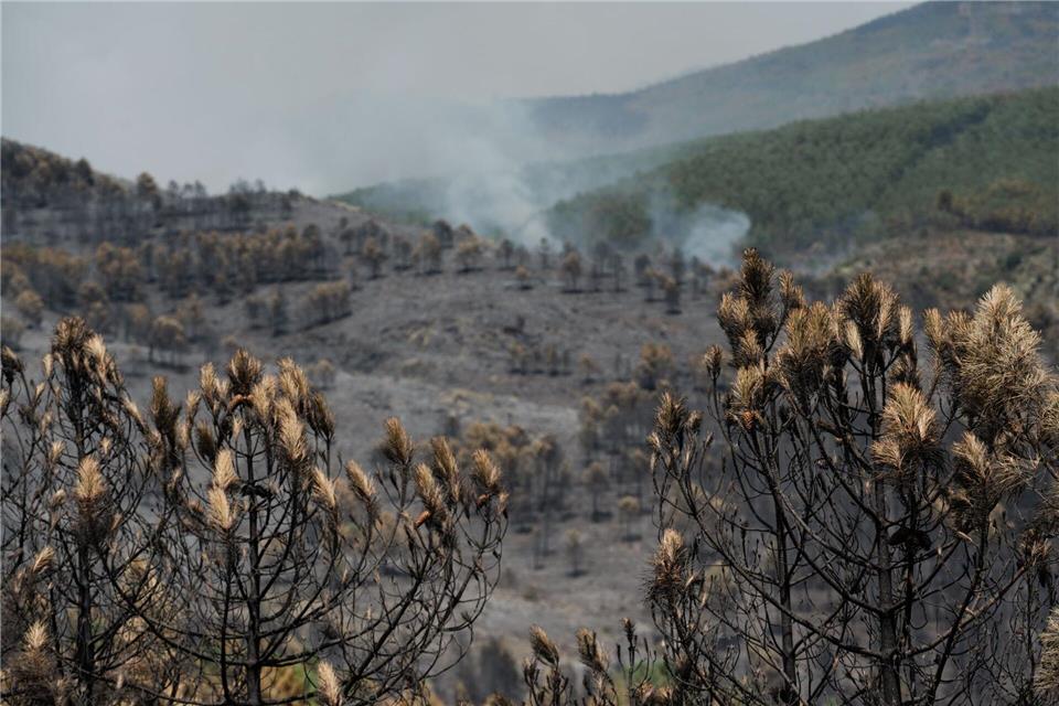 Das Feuer in der Region von Guadalajara nordöstlich von Madrid hat bereits 26.000 Hektar Wald- und Buschland vernichtet.Mateo Lanzuela/EUROPA PRESS/dpa