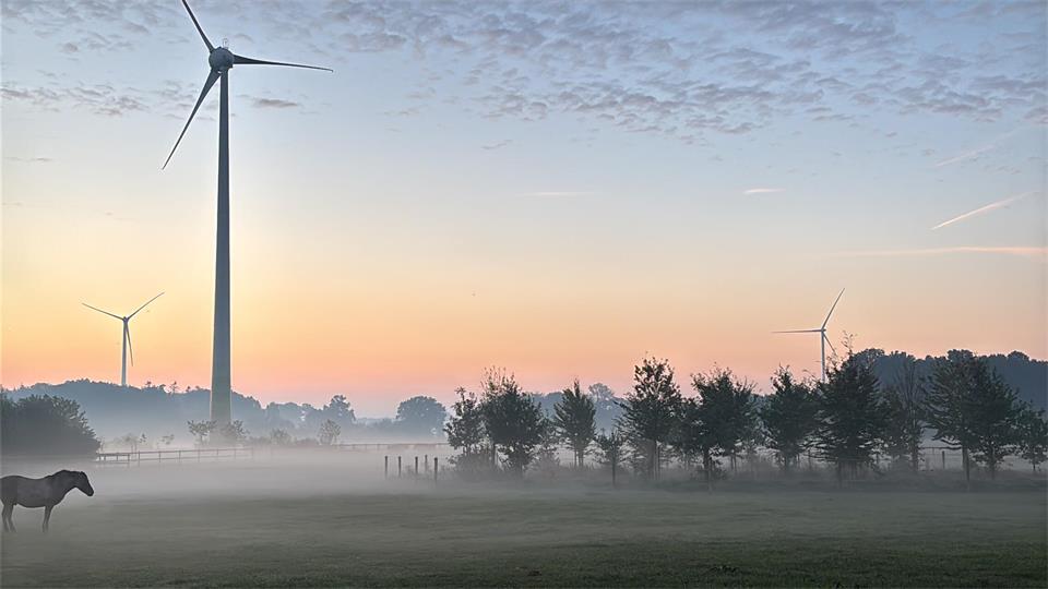 Das Foto hat Michaela Paus aufgenommen. 