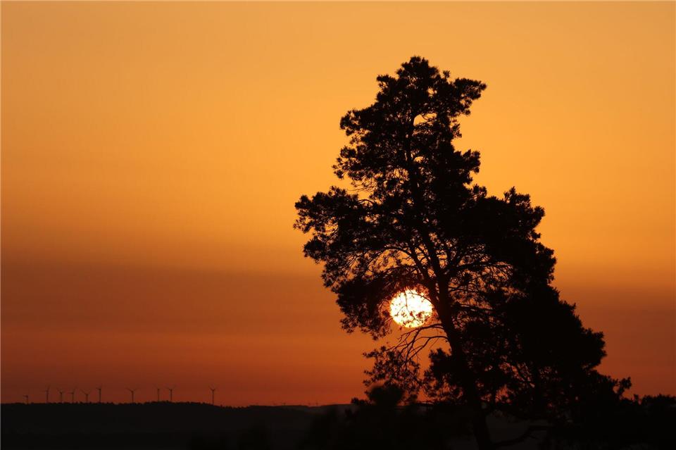 Das Frühjahr 2026 brachte Sachsen-Anhalt ungewöhnlich viele Sonnenstunden und überdurchschnittlich milde Temperaturen. (Symbolbild) Matthias Bein/dpa