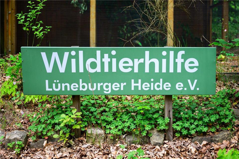 Das Gelände des Betriebs am Rande der Lüneburger Heide ist neun Hektar groß.Philipp Schulze/dpa