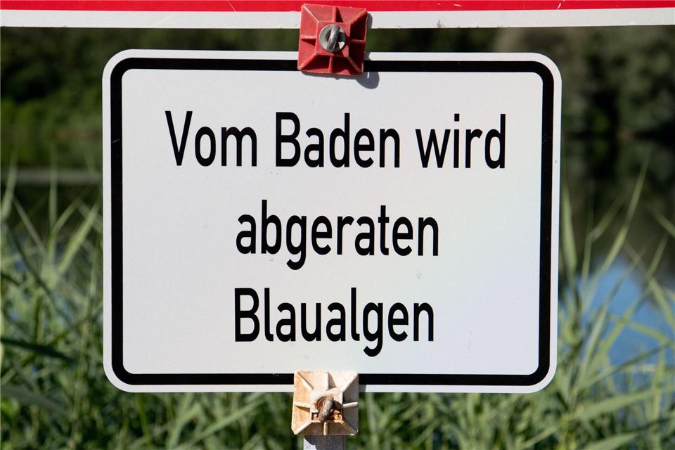 Das Gesundheitsamt warnt vor dem Baden. (Symbolbild)Julian Stratenschulte/dpa