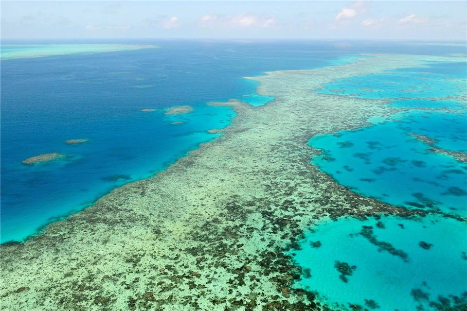 Das Great Barrier Reef gehört zu den größten Naturwundern der Erde - Haiangriffe sind hier aber selten. (Archivbild)Uncredited/Kyodo News via AP/dpa